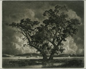  av George Elbert Burr