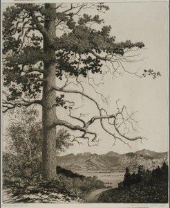  av George Elbert Burr