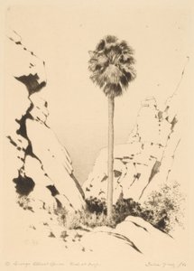 Palm Canyon (nr.1) av George Elbert Burr