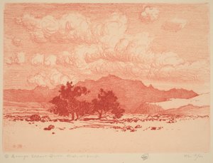 Palo verde-trær av George Elbert Burr