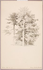 av George Elbert Burr