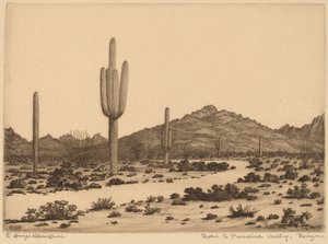 Veien til Paradise Valley, Arizona