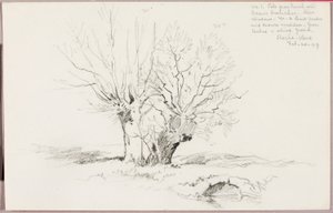  av George Elbert Burr