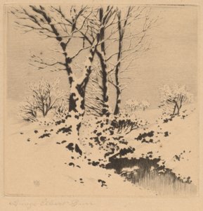 Snø av George Elbert Burr