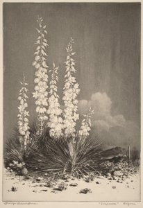  av George Elbert Burr