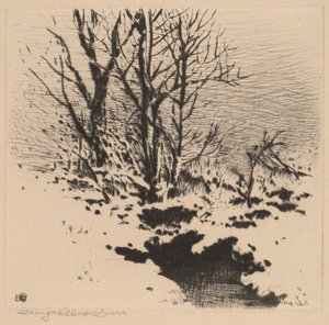 Den første snøen (nr.2) av George Elbert Burr