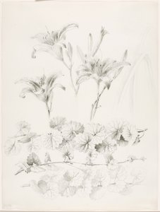 av George Elbert Burr