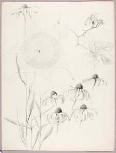  av George Elbert Burr