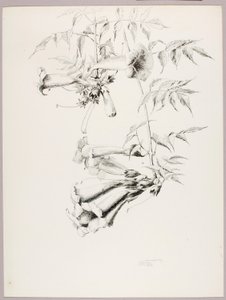  av George Elbert Burr