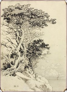  av George Elbert Burr