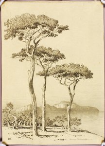  av George Elbert Burr