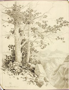 Uten tittel (overføringstegning for trykk) av George Elbert Burr