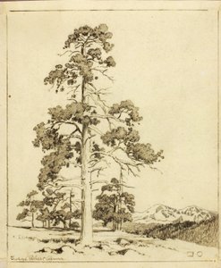Uten tittel (overføringstegning for trykk) av George Elbert Burr
