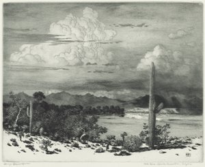 Verde River, Apache-reservatet, Arizona av George Elbert Burr
