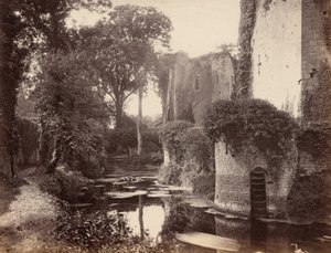 Raglan slott, 1860-tallet (bilde) av George Esq. Shadbolt
