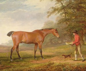 A Bay Horse nærmet av en stallgutt med mat og en grime, 1789