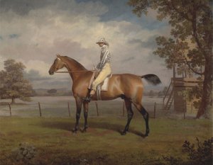 Portrett av en veddeløpshest, muligens forkledning, eiendommen til hertugen av Hamilton, med Jockey Up av George Garrard