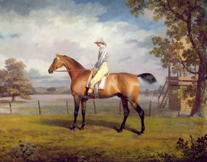 The Duke of Hamilton's Disguise with Jockey Up (olje på lerret)