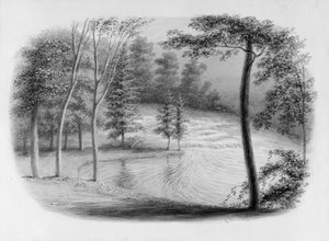 A Brook fra Hosack Album, .