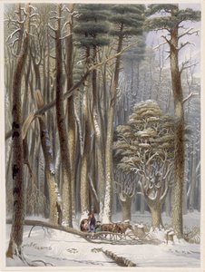 Winter, Impeded Traveler in a Pine Forest, fra Harveys Scenes of the Primitive Forest of America, 1841 (håndfarget akvatint)