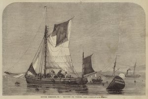 British Fisheries, nr. 7, trav for Whelks av George Henry Andrews