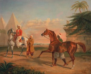 Mameluke kjøper en arabisk hingst