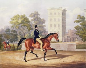 Markisen av Anglesea til hest i Hyde Park, i sitt 80. år, gravert av J. Harris, 1847 (fargegravering)