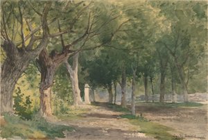 Avenue of Trees