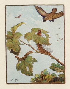 The Caterpillar (farge litho)
