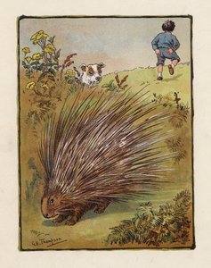 Piggsvinet (farge litho)