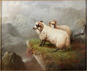 Sau på en klippekant, ca. 1865-68
