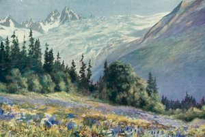 Campanula og andre juliblomster på Col Des Montets (farge litho)