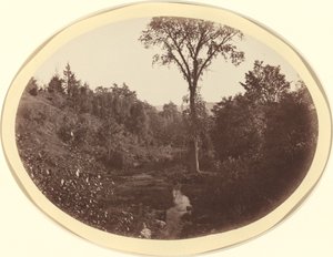 Landskap nær Williams College
