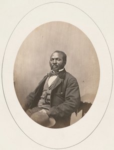 Portrait of Man, Harvard University