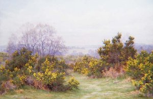 A Surrey Common (akvarell)