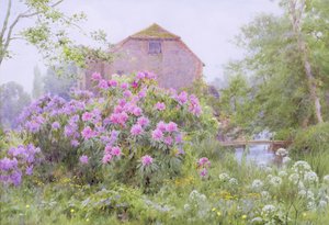 Rhododendron ved en vannmølle