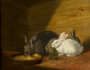 Kaniner av George Morland