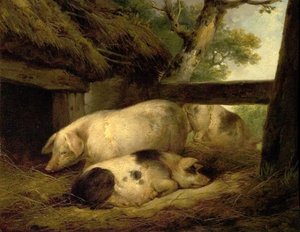Studie av griser av George Morland