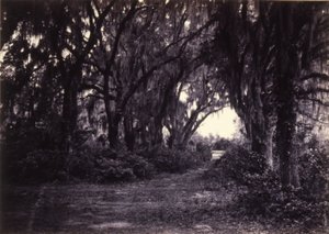  av George N. Barnard
