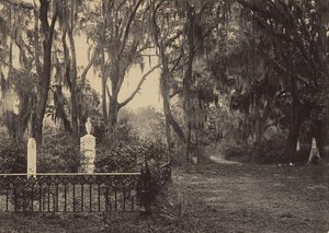 Bonaventure, Savannah, Georgia, 1860-tallet. av George N. Barnard