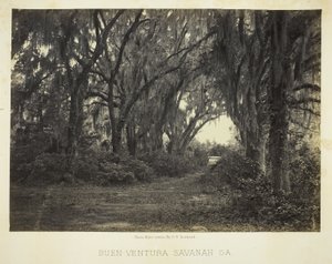  av George N. Barnard