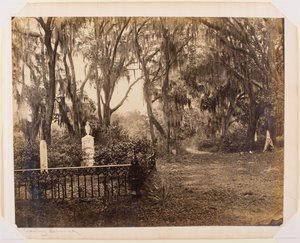 Buen-Ventura, Savannah, Georgia av George N. Barnard