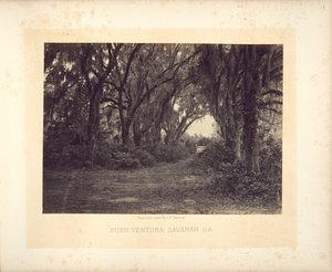 Buen-Ventura, Savannah, Georgia av George N. Barnard