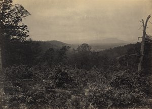 Mission Ridge, åstedet for Shermans angrep av George N. Barnard
