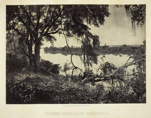 Savannah River, nær Savannah, GA, 1866. av George N. Barnard