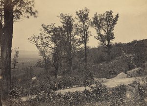 Høydedraget ved Mission Ridge av George N. Barnard