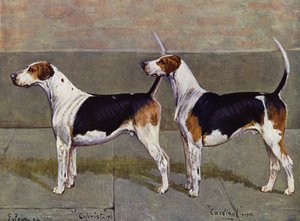 The Puckeridge Foxhounds Colonist and Cardinal av George Paice