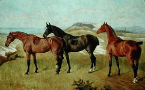Tre hester: Whissendine, Swallow og Tiptop av George Paice