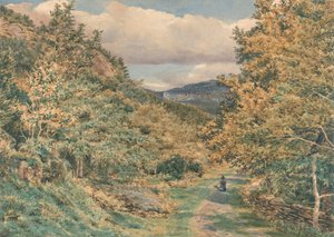 En vei nær Bettws-y-Coed av George Price Boyce