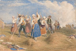 Hømakere i åkeren